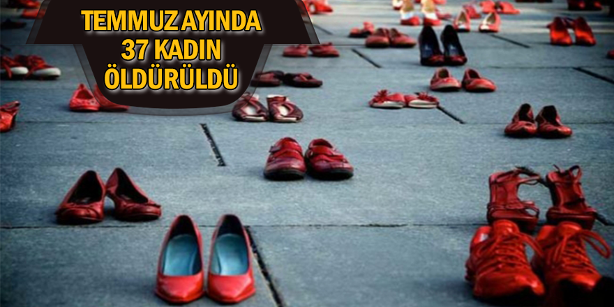 37 Kadın Öldürüldü, 41 Kadın cinsel istismara uğradı