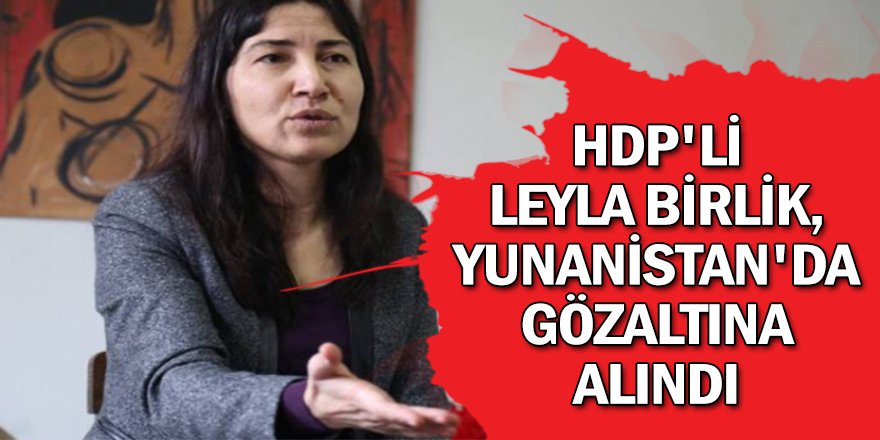 Birlik, Yunanistan'da gözaltına alındı