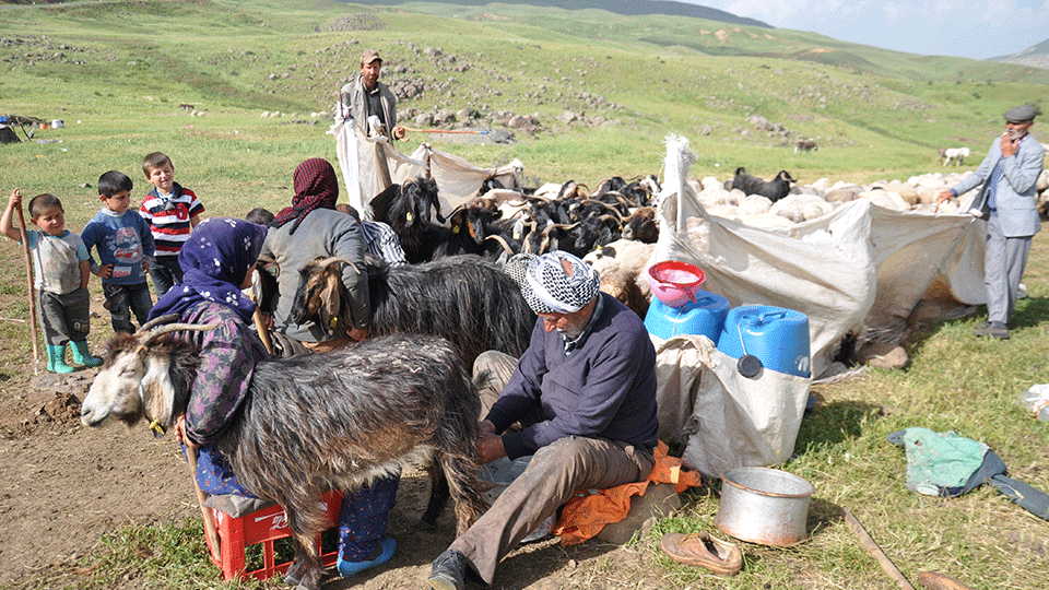 İçişleri Bakanlığından ‘yaylacılara’ uyarı