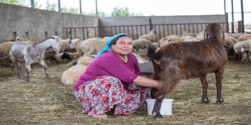 “Dünya Kadın Çiftçiler Günü"