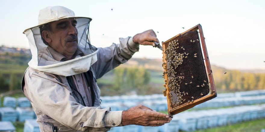 Bingöllü arıcı kışı geçirmek için arılarını Diyarbakır'a getirdi