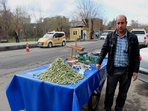 Baharın habercisi badem tezgahtaki yerine kuruldu