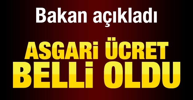 SON DAKİKA..ASGARİ ÜCRET BELLİ OLDU