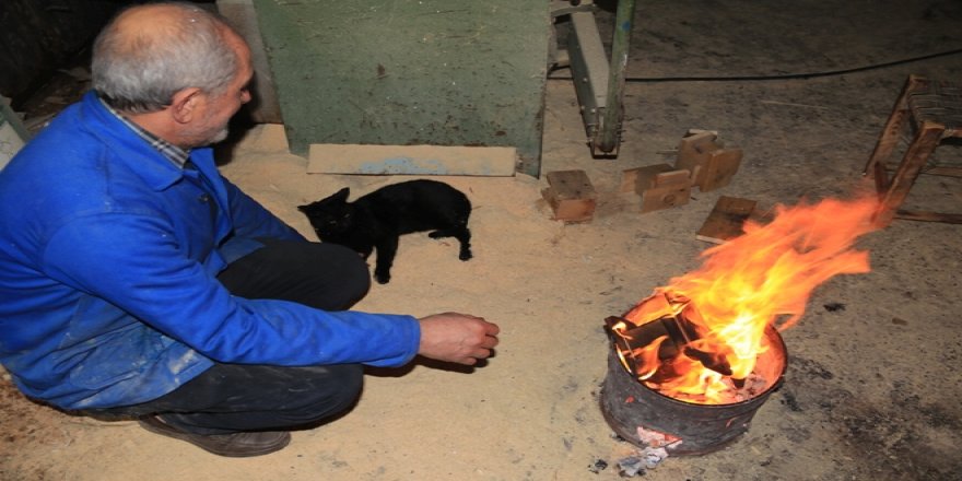 Soğuktan donmak üzere buldu şimdi yanından ayıramıyor