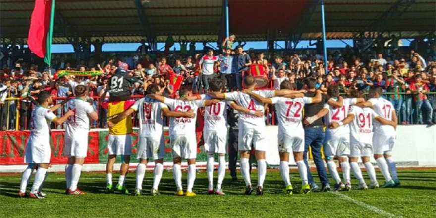 Amedspor-Uşakspor: 2-1