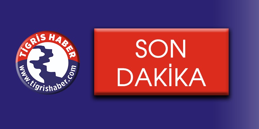 Ak Parti ve HDP’nin belediye meclis üyeleri belli oldu