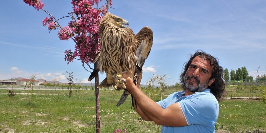 Ömrünün yarısını yaban hayvanlarına adadı