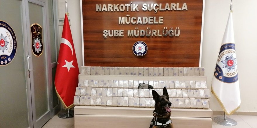 Minibüsteki eroini narkotik köpeği buldu