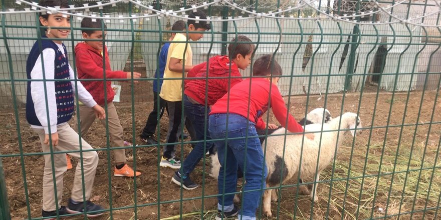 Miniklerden DÜ Veteriner Fakültesi gezisi