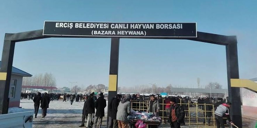 Van Erciş’te hayvan borsasında can pazarı: Bir ölü, 2 yaralı