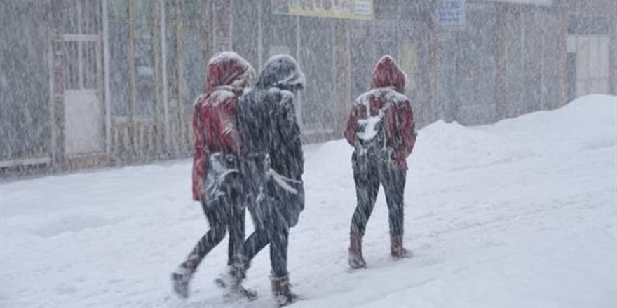 Van'da eğitime kar tatili