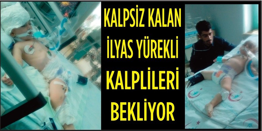 Kalpsiz kalan İlyas yürekli kalplileri bekliyor