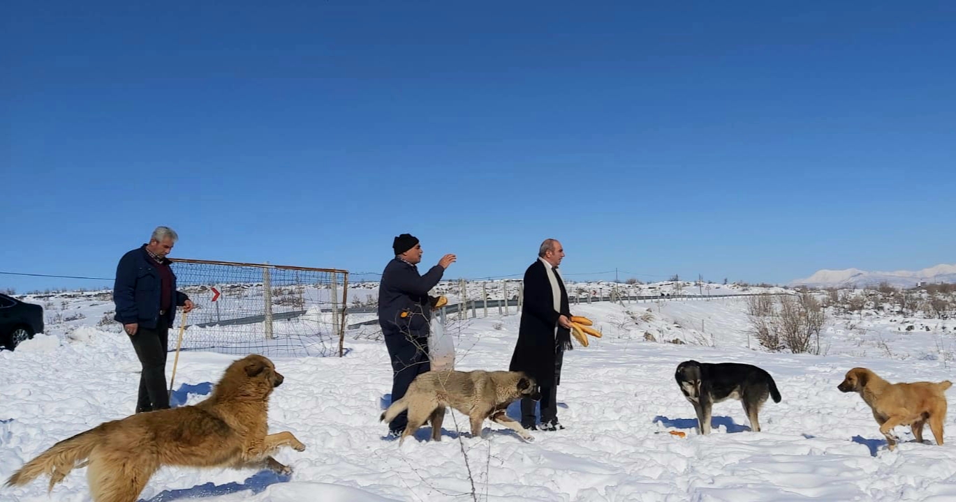 Belediye Başkanı doğaya yem bıraktı