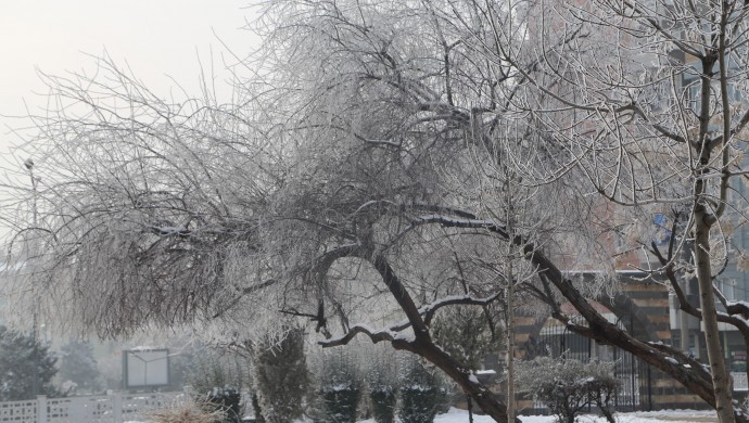 Diyarbakır’da ağaçlar buz tuttu