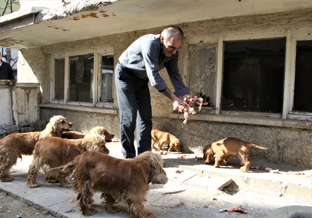 Depremzedenin köpek sevgisi, onlardan ayrılamıyor