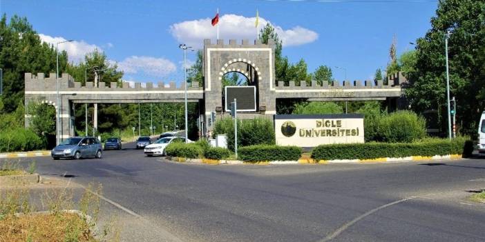 Diyarbakır Dicle Üniversitesi 2024 Puanları: Taban Puanlar, Başarı Sıralamaları ve Kontenjanlar