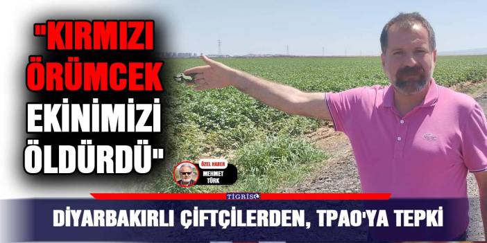 VİDEO - Diyarbakırlı çiftçilerden, TPAO'ya tepki; "Kırmızı örümcek ekinimizi öldürdü"