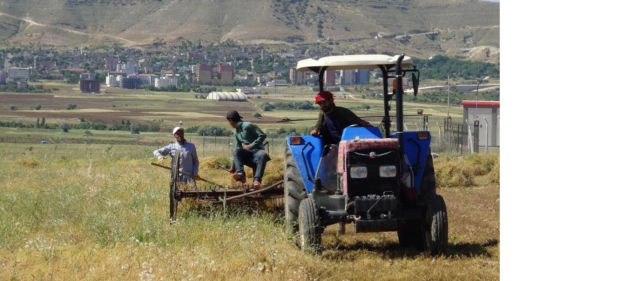 batmanda-mercimek-ciftcinin-yuzunu-guldurdu.jpg