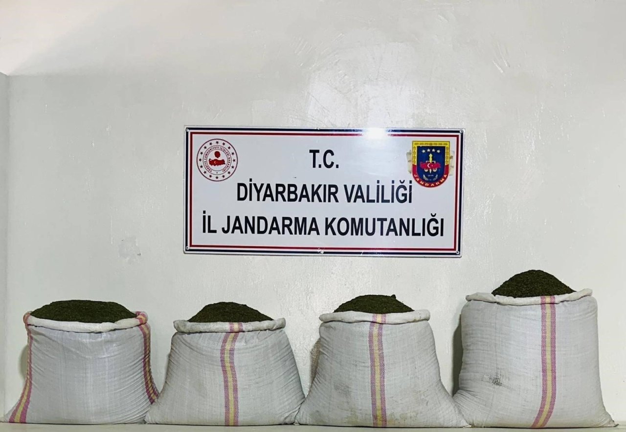 diyarbakirda-34-bin-500-kok-kenevir-ve-112-kilo-esrar-ele-gecirildi.jpg