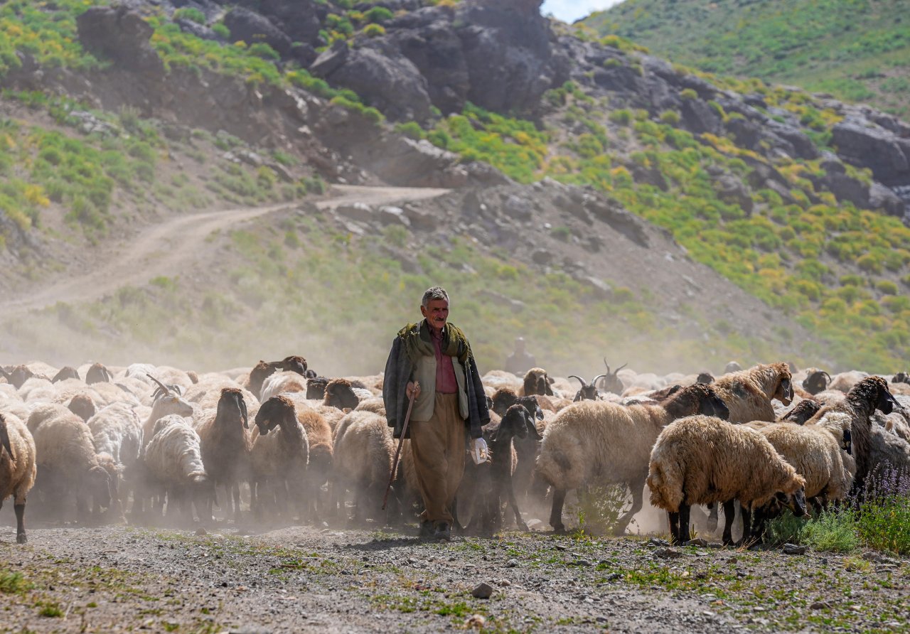 farasinde-400-kucukbas-hayvana-evsahipligi-yapiyor-2-min-001.jpg