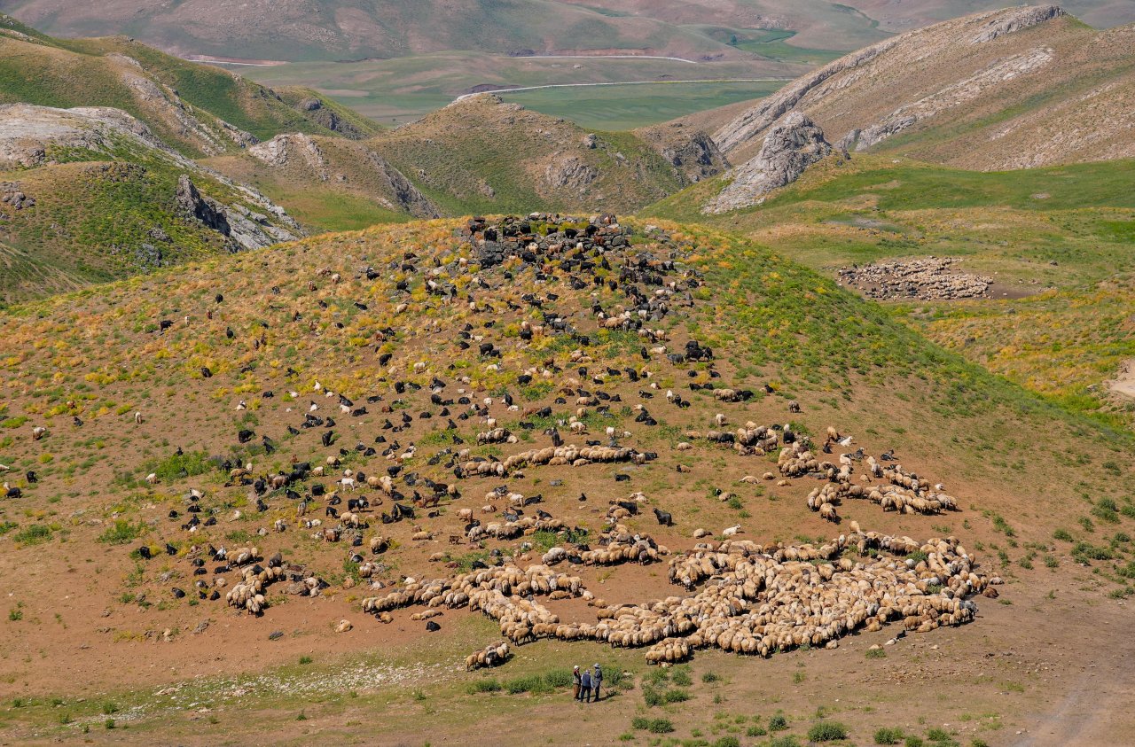 farasinde-400-kucukbas-hayvana-evsahipligi-yapiyor-4-min-001.jpg