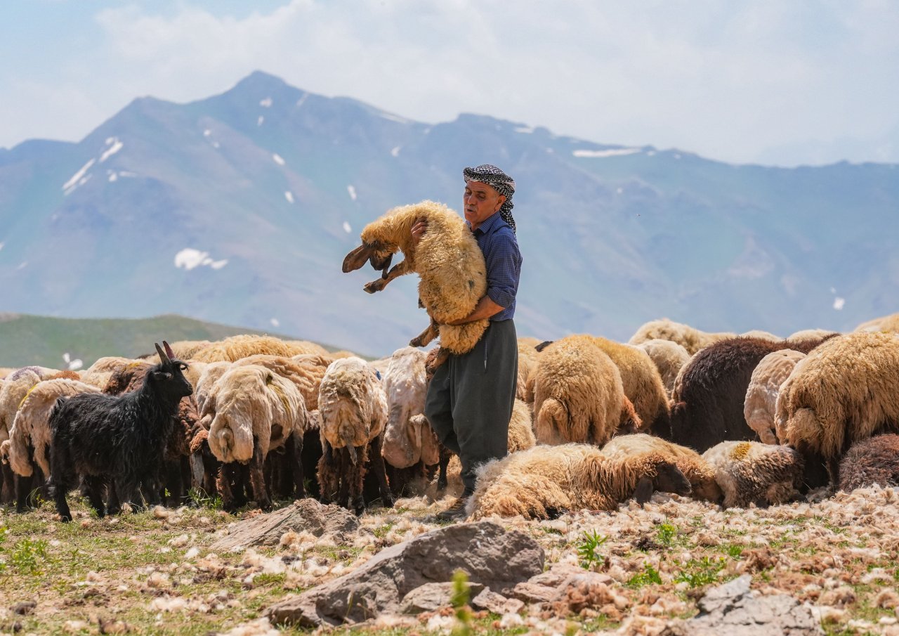 farasinde-400-kucukbas-hayvana-evsahipligi-yapiyor-6-min.jpg