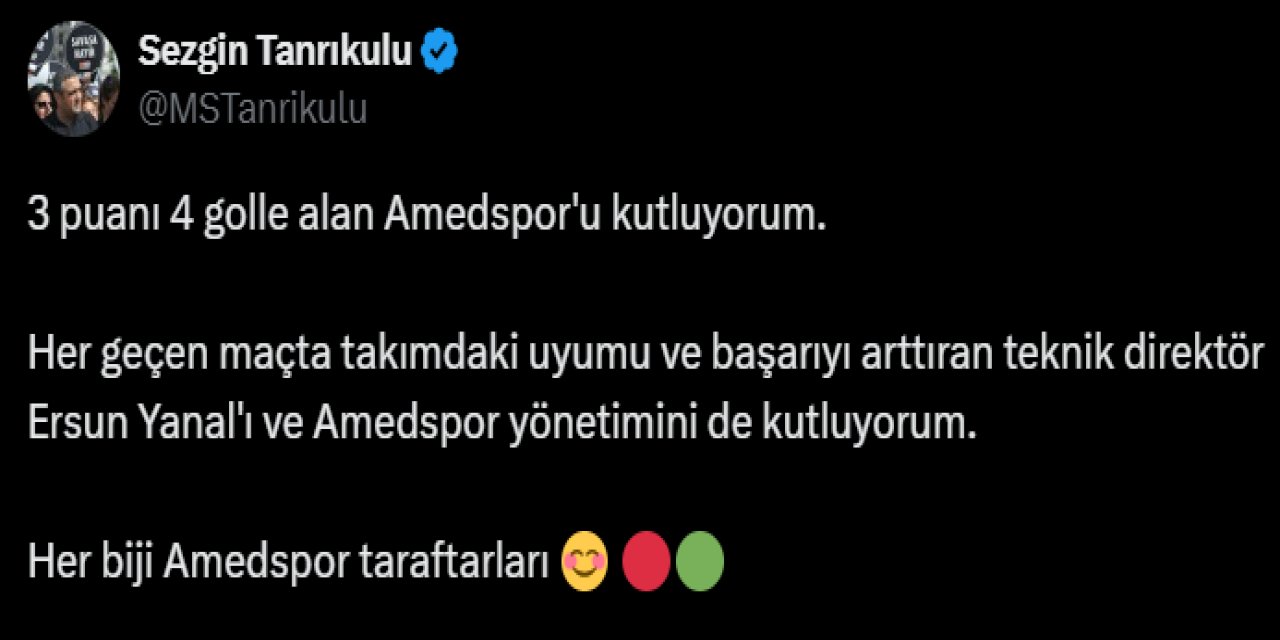 mst-amedspor.png