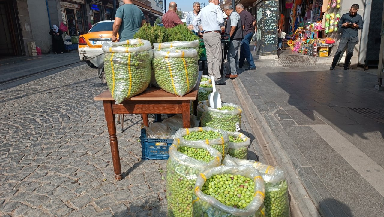 yesil-zeytin-samani-4.jpeg