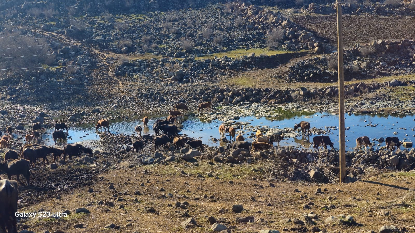 diyarbakir-kayapinarda-3.jpg