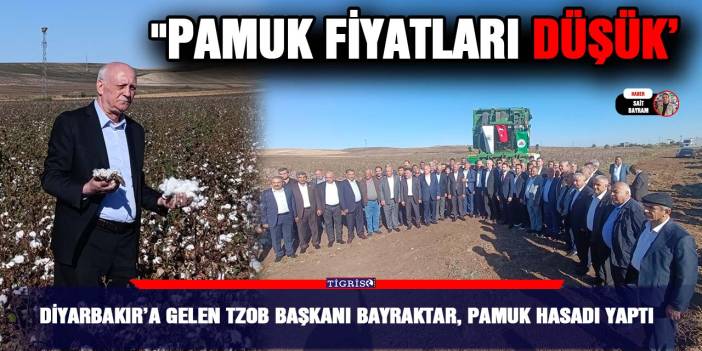 Diyarbakır’a gelen TZOB Başkanı Bayraktar, pamuk hasadı yaptı