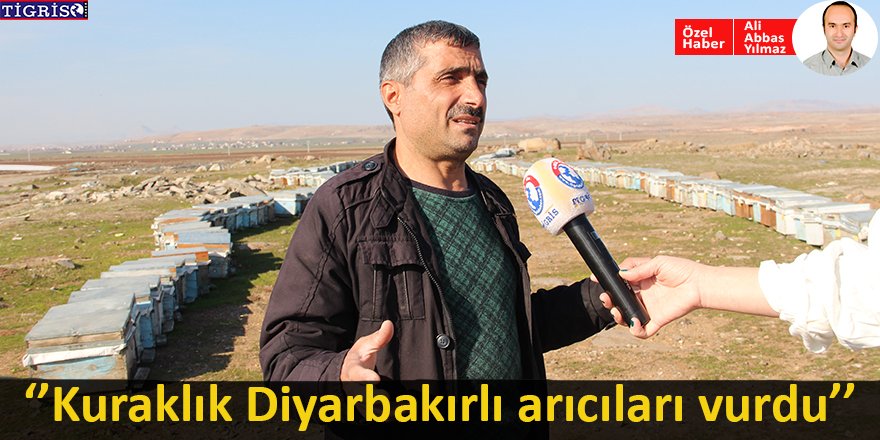 Kuraklık Diyarbakırlı arıcıları vurdu