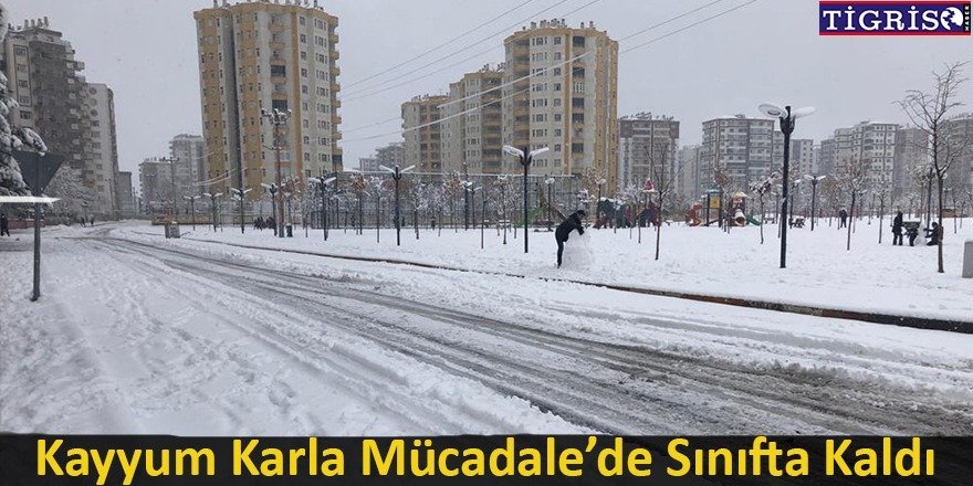 Kayyumlar karla mücadelede sınıfta kaldı!